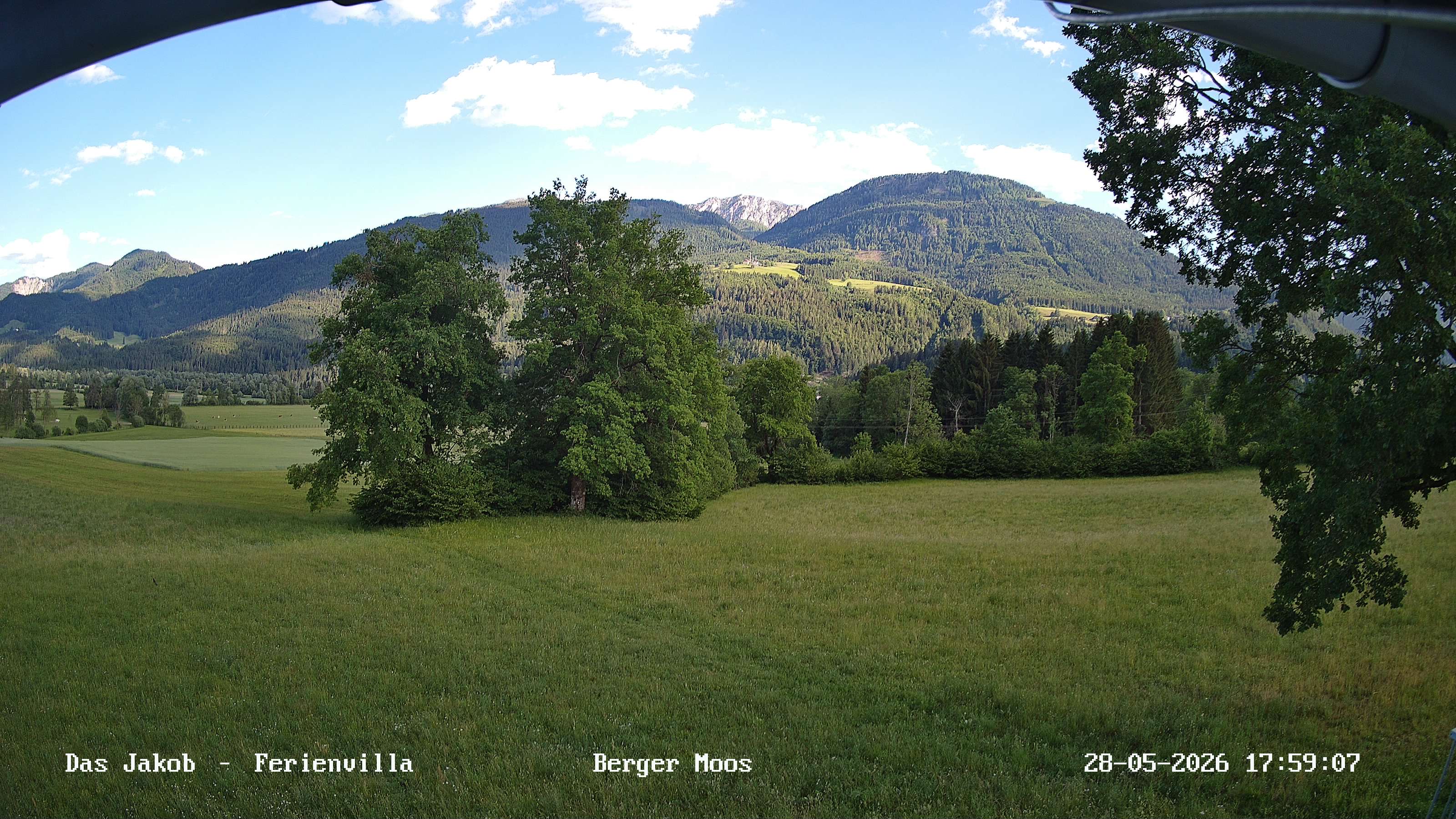 Flugplatz: Hauptfeld